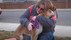 Illustration : Une mère d'accueil pleure pendant 4 jours à l'idée de se séparer d'un chien, mais sa vie change à tout jamais lorsqu'elle tente d'appeler l'adoptant (vidéo)