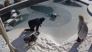 Illustration : Le sauvetage réflexe d'un homme pour sauver son chien piégé sous la glace de sa piscine (vidéo)