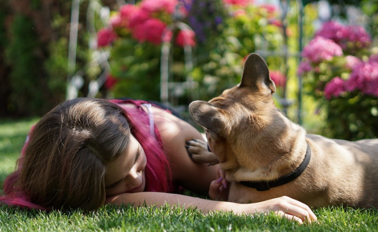 rencontre homme aimant animaux