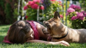 Illustration : "Avoir un chien sur votre photo de profil augmenterait vos chances sur les applications de rencontres comme Tinder"