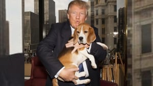 Illustration : L'apparition surprise de Donald Trump à un événement caritatif pour une association de sauvetage de chiens fait polémique