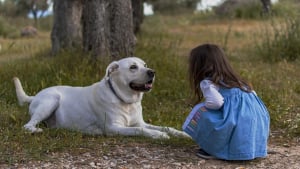 Illustration : Un conte audio pour aider l’enfant à surmonter le deuil de son animal disparu