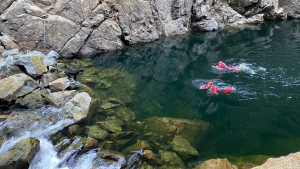 Illustration : Des pompiers traversent l’eau glacée d’une rivière à Vancouver pour tenter de sauver un chien échoué dangereusement près des rapides