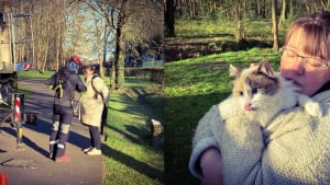 Illustration : Une femme paniquée de voir son chat coincé dans un arbre du parc reçoit l'aide d'élagueurs