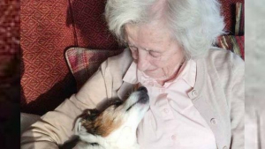 Illustration : En adoptant un chien senior, cette femme de 96 ans se mobilise pour donner une chance aux chiens âgés