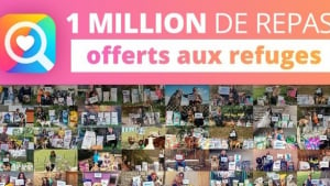 Illustration : YouCare, le moteur de recherche caritatif, a atteint le million de repas offerts aux animaux des refuges