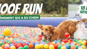 Illustration : Woof Run 2021 : les inscriptions sont ouvertes pour les amoureux des sports canins