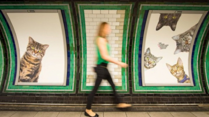 Illustration : 7 photos de chats placardées dans un métro londonien pour remplacer les affiches publicitaires