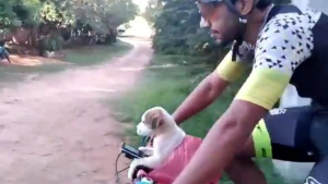 Illustration : Des cyclistes découvrent avec consternation un chiot enfermé dans un sac jeté sur le bord de la route (vidéo)