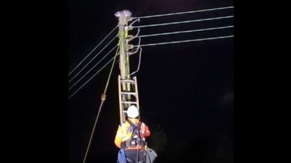 Illustration : L’opération de sauvetage d’un chat coincé au sommet d’un poteau électrique pendant près de 10 heures