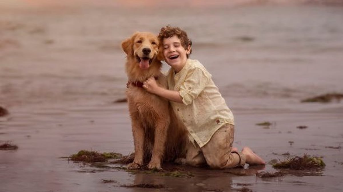 Illustration : "16 photos magnifiques illustrant l’amitié unique entre un petit garçon et son Golden Retriever"