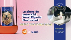 Illustration : La SPA et Gobi lancent une gourde personnalisable en édition limitée au profit des animaux de l’association