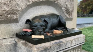 Illustration : L’émouvant hommage à Sallie, une chienne héroïque qui a accompagné des soldats 150 ans plus tôt