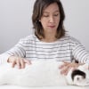 Illustration : Les massages pour soigner son chat