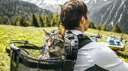 Illustration : 10 photos illustrant la vie palpitante d'un chat aventurier