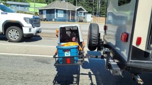 Illustration : Une enquête lancée après la découverte d'un chien remorqué dans une caisse de transport par un camping-car