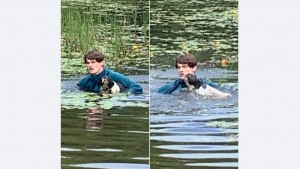 Illustration : Un jeune vacancier héroïque se précipite dans un lac pour repêcher un chien en train de se noyer