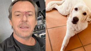 Illustration : L'animateur Jean-Luc Reichmann poste une photo de son chien amputé d'une patte pour livrer un message fort contre l'abandon