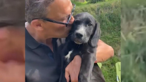 Illustration : Tout sourire, Julien Courbet présente le chien qu’il vient d’adopter et invite ses abonnés à en faire de même