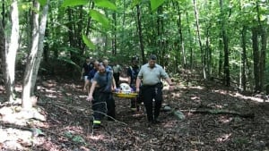 Illustration : Un chien senior souffrant de dysplasie tombe dans un ravin. Les pompiers se précipitent à son secours