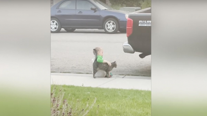 Illustration : Triste, un petit garçon s'assoit seul sur le trottoir. Jusqu'à ce qu'un chat amical s'approche pour le consoler ! (Vidéo)