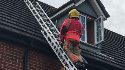 Illustration : En une heure, une unité de pompiers vient au secours de 2 chats en détresse