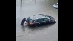 Illustration : Inondations : un chien courageux aide sa propriétaire à pousser une voiture piégée dans l'eau (vidéo)