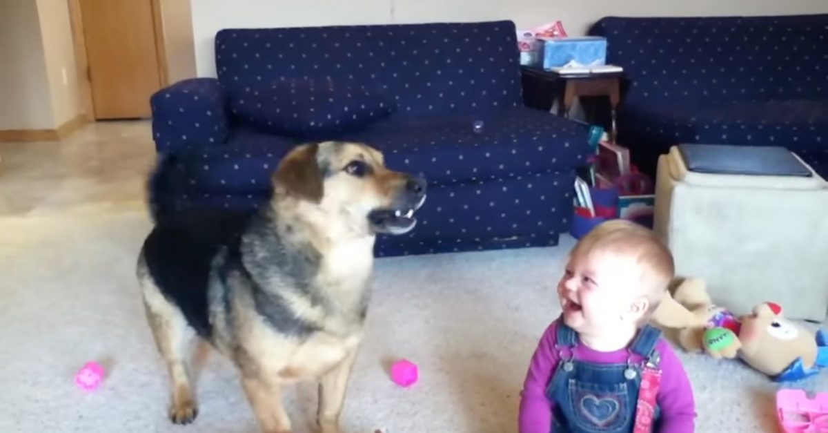 Une Maman Filme Une Sequence Adorable Dans Laquelle Son Bebe Rit En Voyant Leur Chien Essayer D Attraper Des Bulles