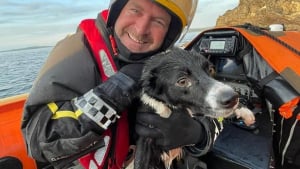 Illustration : Les gardes-côtes lancent une opération de sauvetage pour récupérer un chien victime d'une chute de 60 mètres