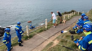 Illustration : Un Jack Russell tombe d'une falaise après avoir poursuivi un écureuil, les gardes-côtes se mobilisent pour le récupérer