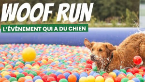 Illustration :  Rendez-vous ce week-end des 18 et 19 septembre pour la Woof Run, l'évènement tant attendu par les férus de sports canins