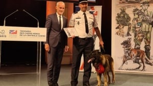 Illustration : Un chien de sauvetage honoré à la mairie de Paris dans le cadre de la troisième édition des « Trophées des chiens héros »