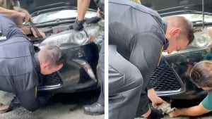 Illustration : Des policiers conquièrent le coeur des internautes en sauvant un chaton en détresse piégé dans le moteur d'une voiture (vidéo)