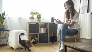 Illustration : Caremitou, la nouvelle litière connectée qui veille quotidiennement au bien-être et à la santé de votre chat