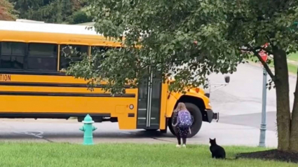 Illustration : La routine matinale d'un chat protecteur qui accompagne une petite fille jusqu'au bus scolaire (vidéo)