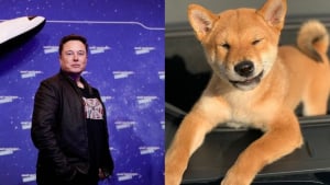 Illustration : Un simple tweet d’Elon Musk au sujet de son chien propulse le cours de la cryptomonnaie Shiba Inu à un niveau jamais atteint