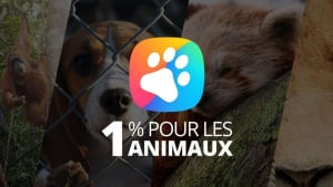 Illustration : YouCare lance le label « 1% Pour les Animaux » pour protéger les vies animales et la biodiversité