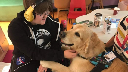 Illustration : Une équipe de chiens de thérapie a pour mission d'apaiser les enfants hospitalisés