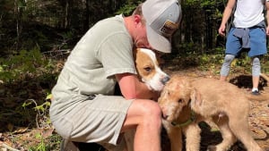 Illustration : Un chien survit à sa chute d'une falaise de 50 mètres, laissant sans voix l’équipe venue le secourir