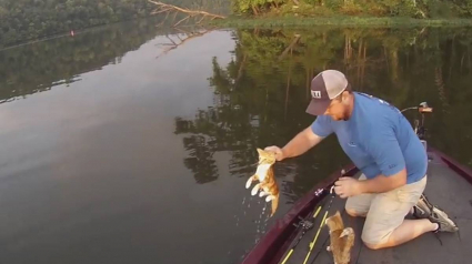 Illustration : Ils pensent pêcher du poisson dans un lac, mais sont surpris de remonter... 2 chatons abandonnés ! (Vidéo)