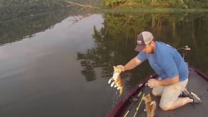 Illustration : Ils pensent pêcher du poisson dans un lac, mais sont surpris de remonter... 2 chatons abandonnés ! (Vidéo)