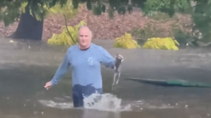 Illustration : Un bon Samaritain brave les intempéries et traverse un parc inondé pour porter secours à un chat qui se noie (vidéo)