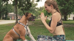 Illustration : Ces 11 chiens sont de véritables pros du yoga !