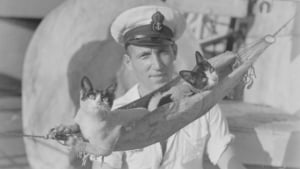 Illustration : 12 photos historiques de chats accompagnant l'équipage de navires de guerre