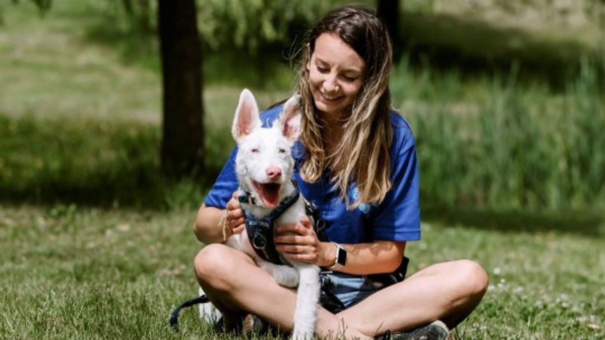 Illustration : "Après avoir appris la langue des signes, ce chien sourd reprend confiance en lui"