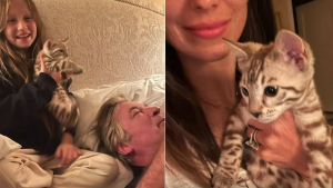 Illustration : L'acteur Alec Baldwin adopte un nouveau chaton pendant que son chat se remet de son accident de voiture