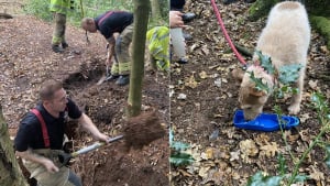 Illustration : Un chien de 11 ans épileptique bloqué 24 heures dans le trou d'un parc