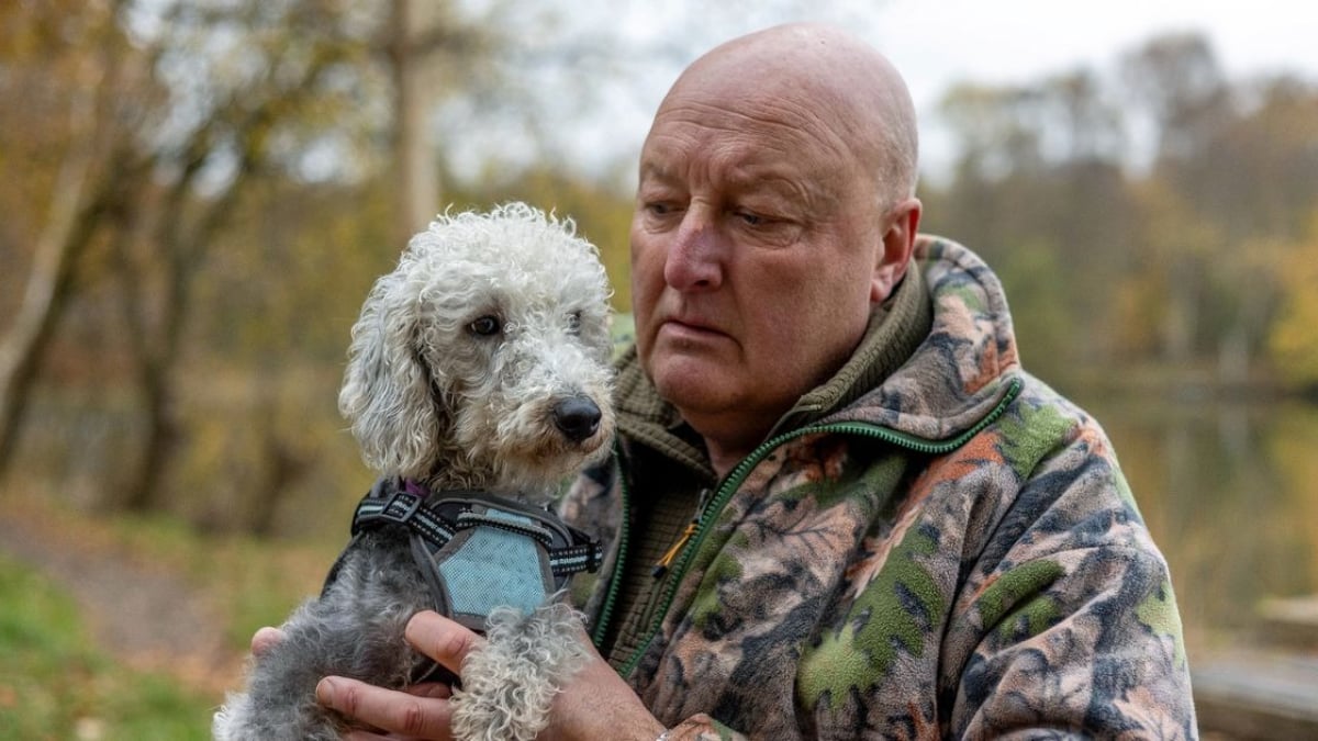 Illustration : "Il met en garde les autres propriétaires après que son chien est tombé malade en ingérant des feuilles de cannabis dans un parc"