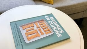 Illustration : "« Babines en cuisine », un livre de recettes pour concocter des friandises saines et savoureuses à son chien"