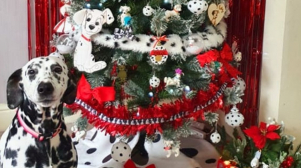 Illustration : Elle décore son sapin de Noël sur le thème des 101 Dalmatiens par amour pour cette race de chien